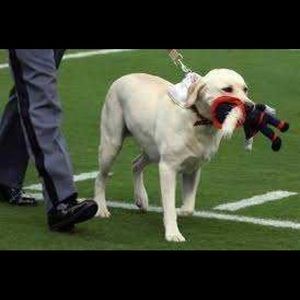 Meet your Posher, Jared